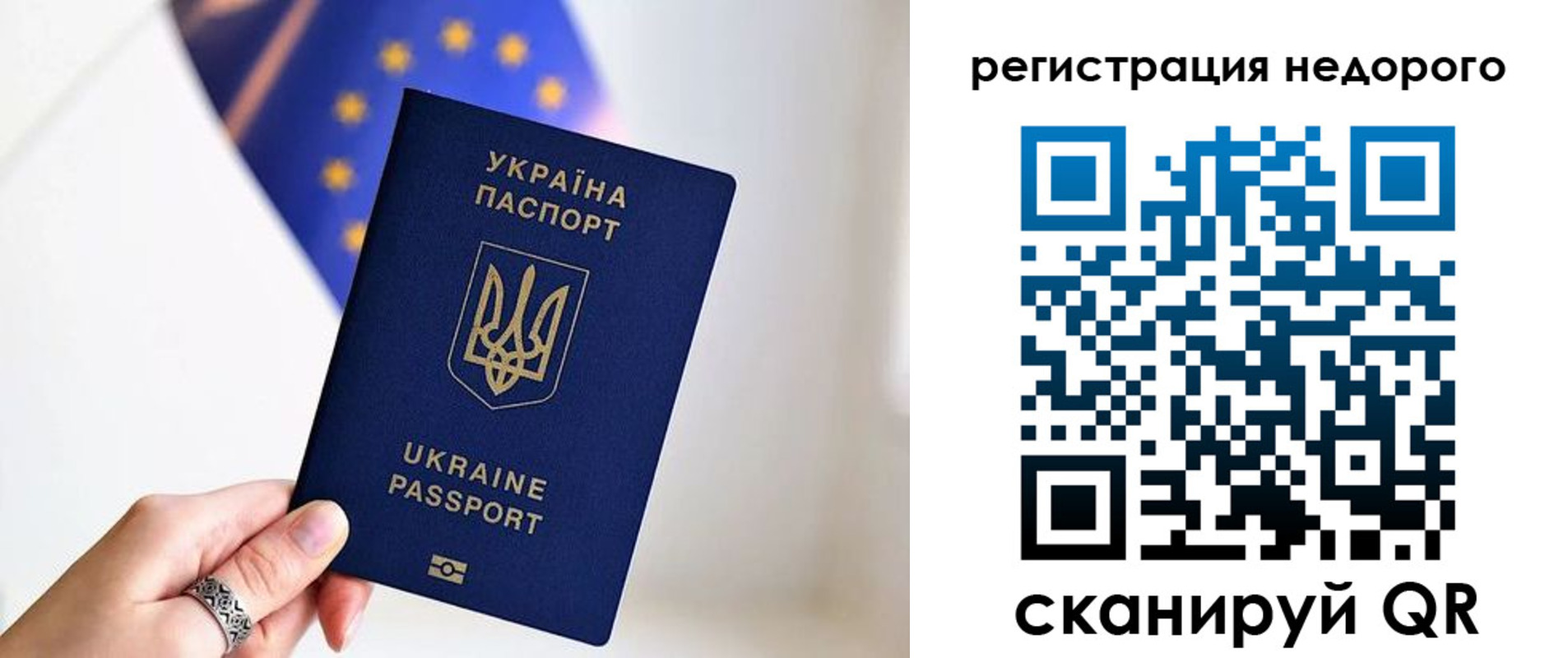 прописка 2025 в Струнино